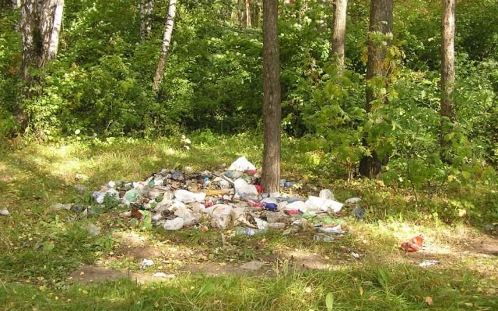 Более 200 белорусов оштрафовали за загрязнение лесов с начала года