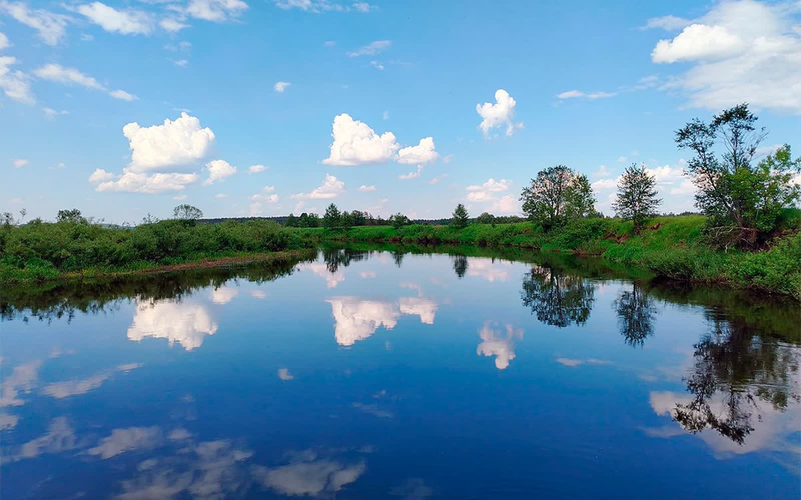 На большинстве рек Беларуси продолжится спад уровней воды — Белгидромет