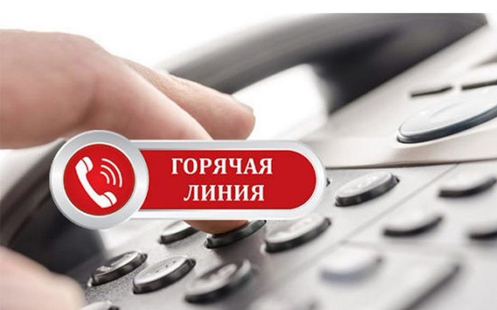 КГК Брестской области: горячая линия по готовности школ 19 августа