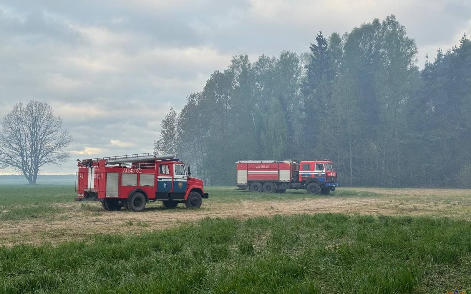 Лесной пожар под Пинском площадью 0,3 гектара возле деревни Тупчицы