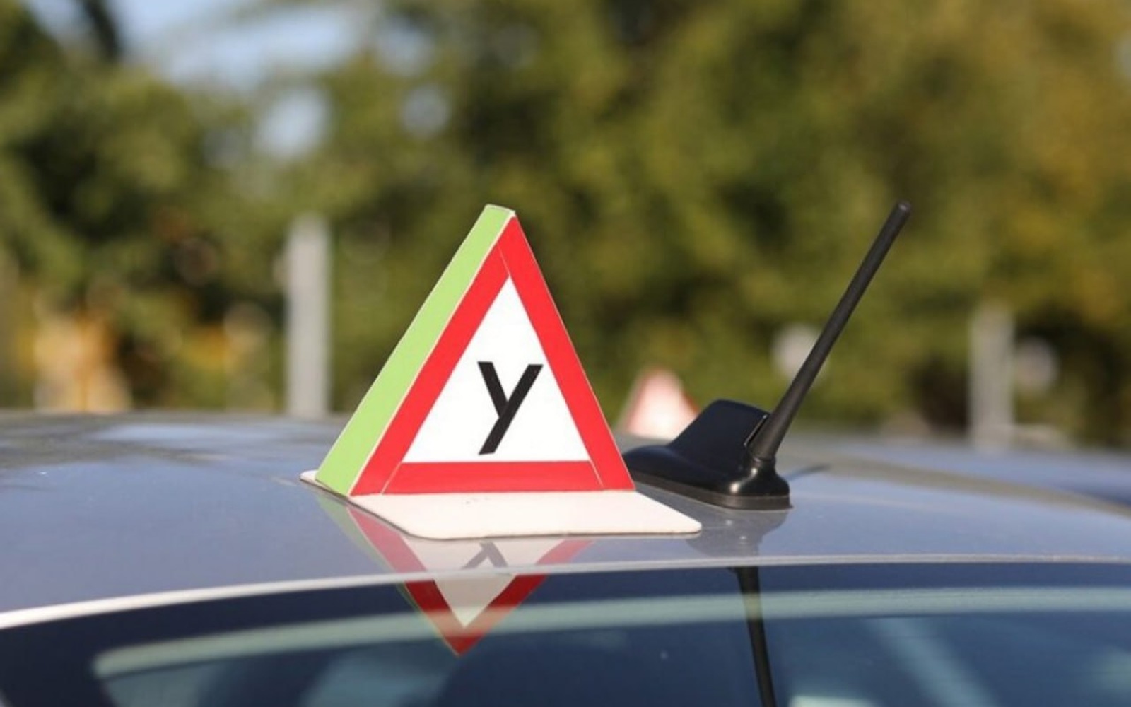 В Беларуси хотят увеличить практическое вождение в автошколах с 50 до 70 часов