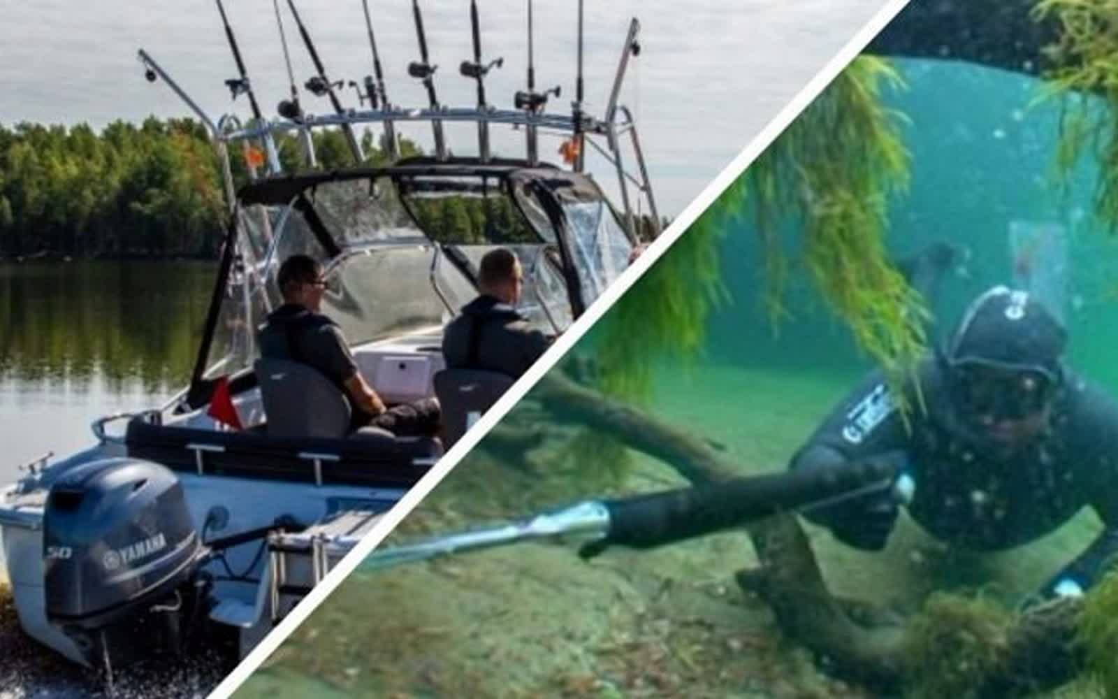 Подводная охота в Беларуси — разрешённые водоёмы и документы